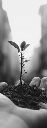 Sustainability